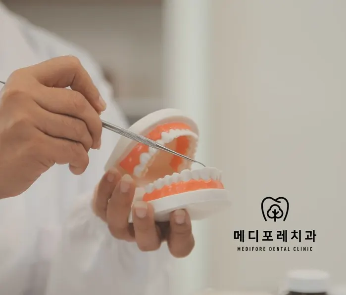 미사역 치과, 임플란트 전에 잇몸치료가 먼저인 이유는 무엇인가요?